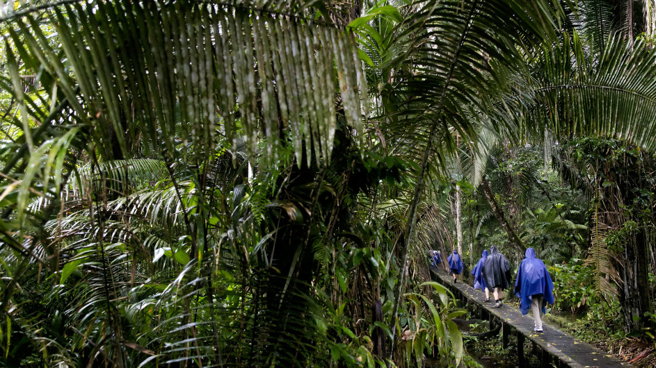 Ecuador - La Selva Ecolodge - Regenwaldwanderung