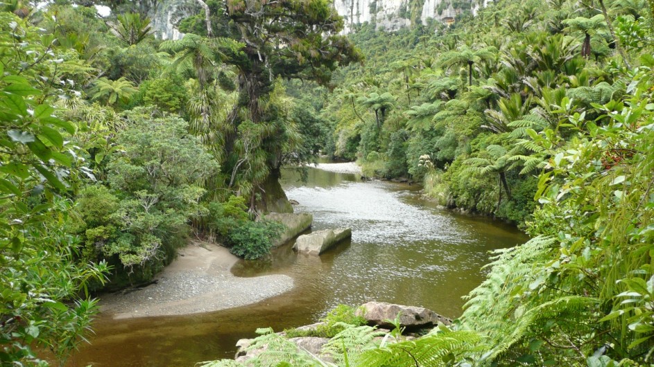 Neuseeland Punakaiki River