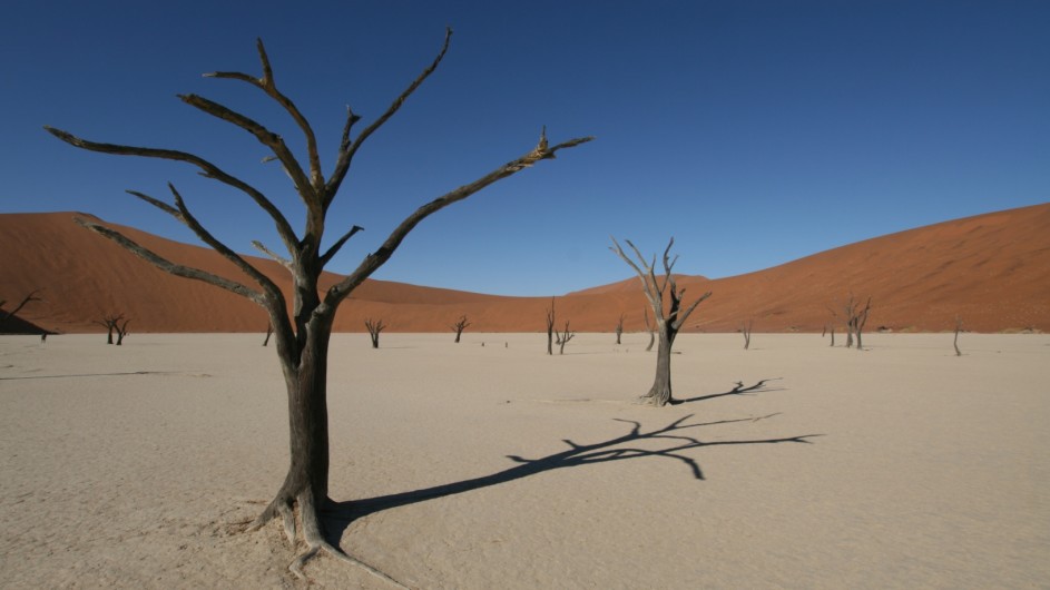 Namibia Deadvlei Namib Wüste