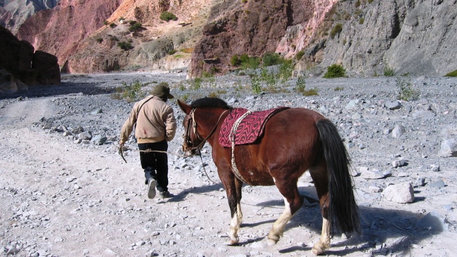 Argentinien Valle Calchaqui Pferd