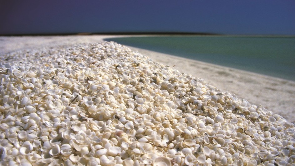 Australien Westaustarlien Shell Beach Shark Bay