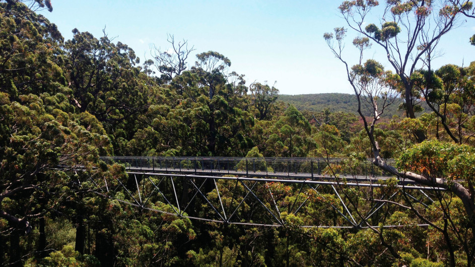 Australien Valley of the Giants Tree Top Walk