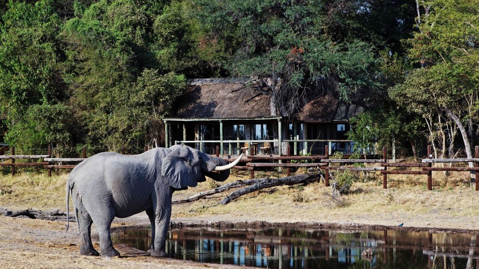 Botswana Savute Safari Lodge Elefant vor Camp