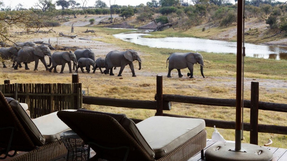 Botswana Savute Safari Lodge Terrasse mit Blick auf Elefanten