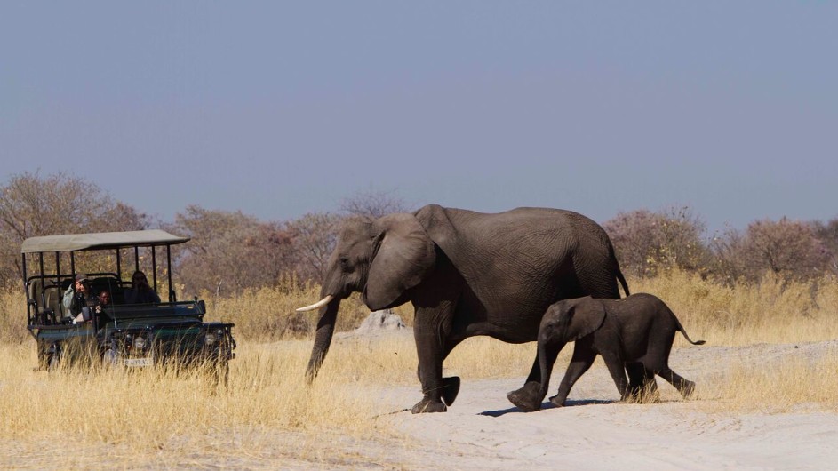 Botswana Moremi Game Reserve Camp Xakanaxa Pirschfahrt Elefanten