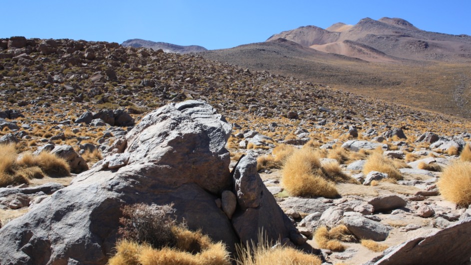 Chile Atacama Wüste auf dem Tatio