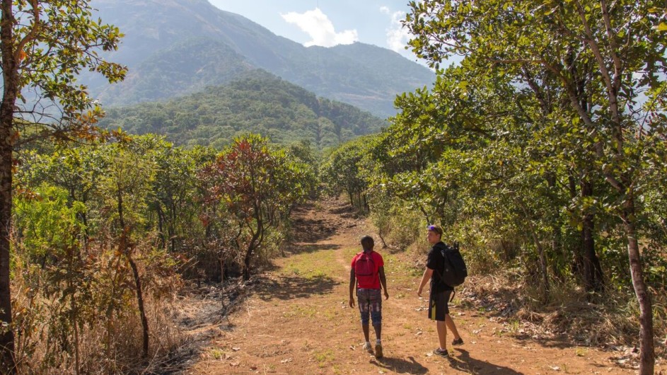 Malawi Mulanje Berge Wanderung