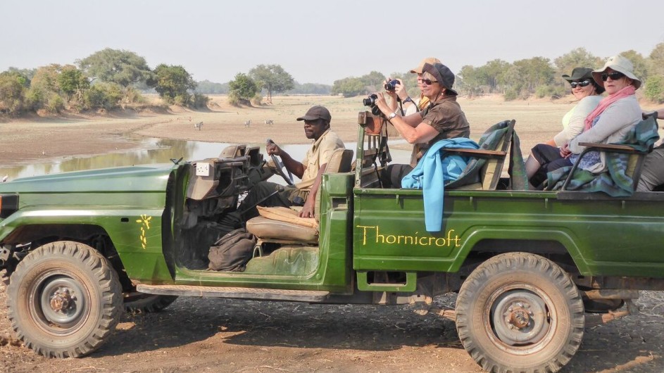Zambia South Luangwa Nationalpark Thornicorft Safari