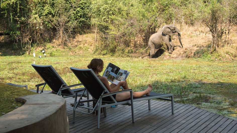 Zambia Nkwali Camp Elefant am Pool