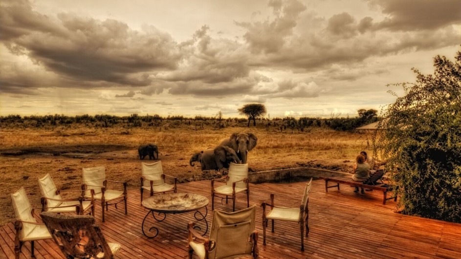 Zimbabwe Somalisa Camp Terrasse mit Elefanten