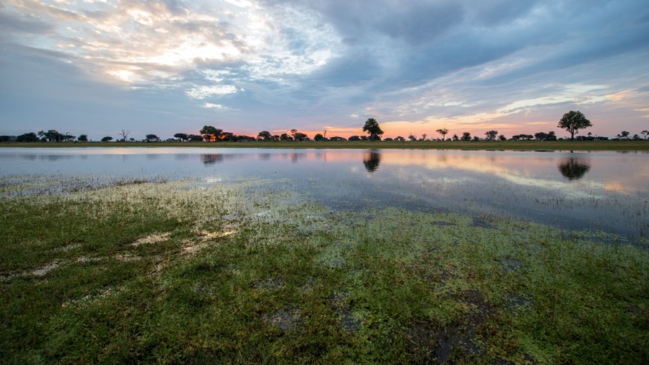 Zimbabwe Hwange Nationalpark