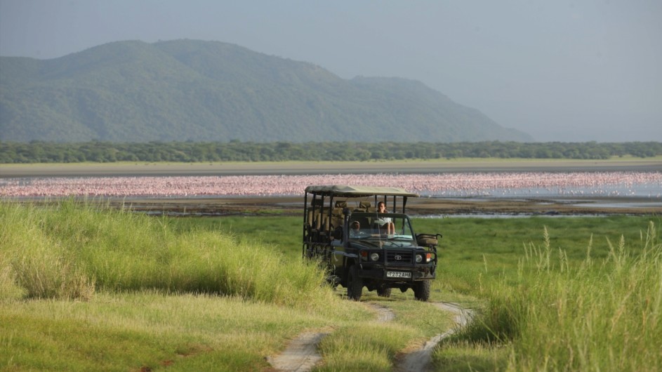 Tanzania Lake Manyara Pirschfahrt
