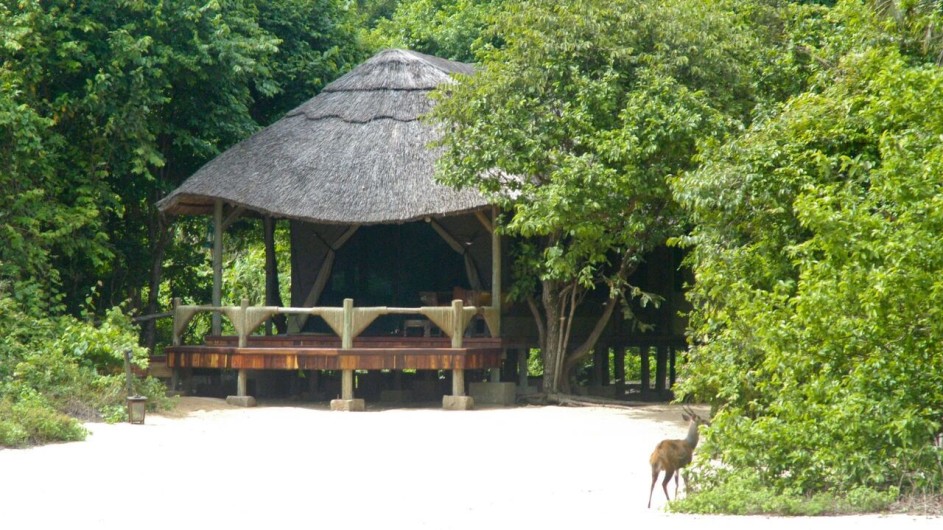 Tanzania Mahale Nationalpark Kungwe Beach Lodge Zimmer