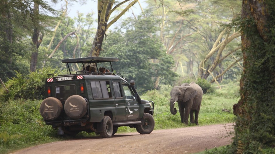 Tanzania Ngorongoro Crater Lodge Pirschfahrt mit Elefant