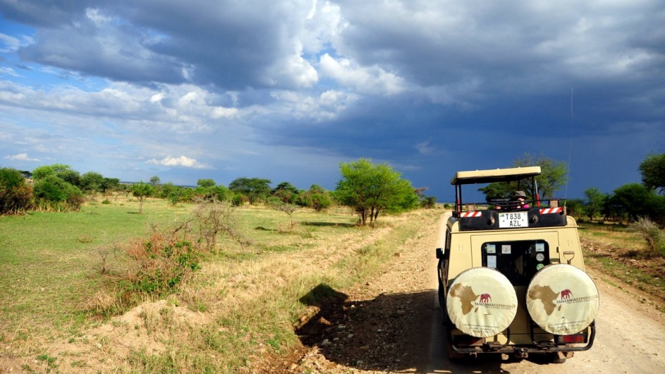 Tanzania Experience Serengeti Pirschfahrt