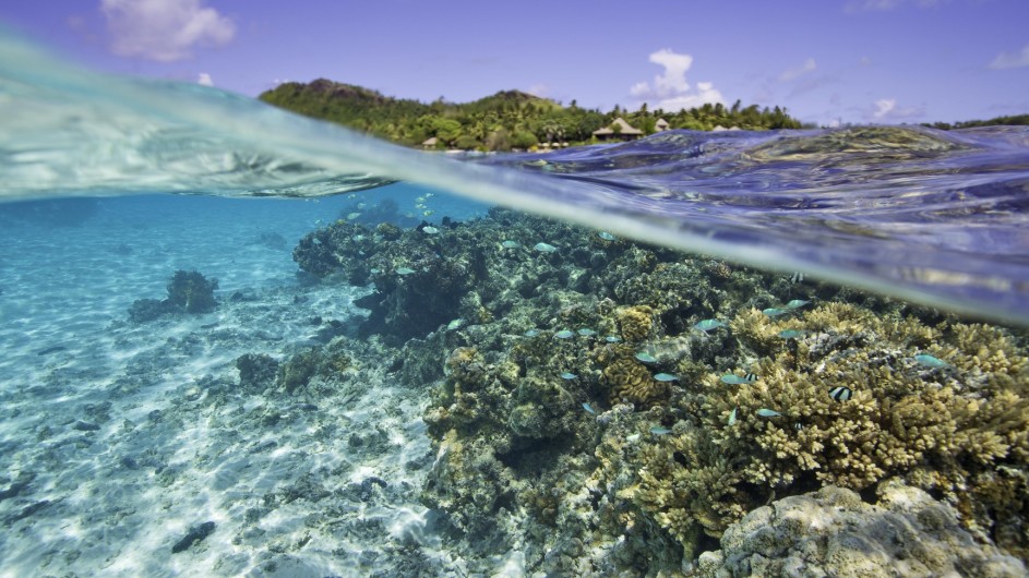 Cook Inseln Pacific Resort Aitutaki Unterwasser