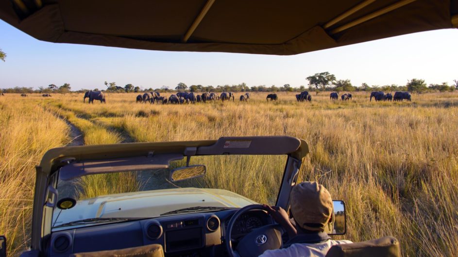 Namibia Caprivi Namushasha River Lodge Pirschfahrt Elefanten