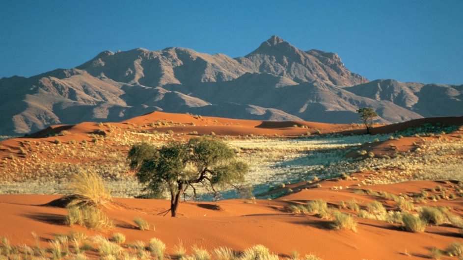 Namibia - Wolwedans - Dunes Camp - Landschaft