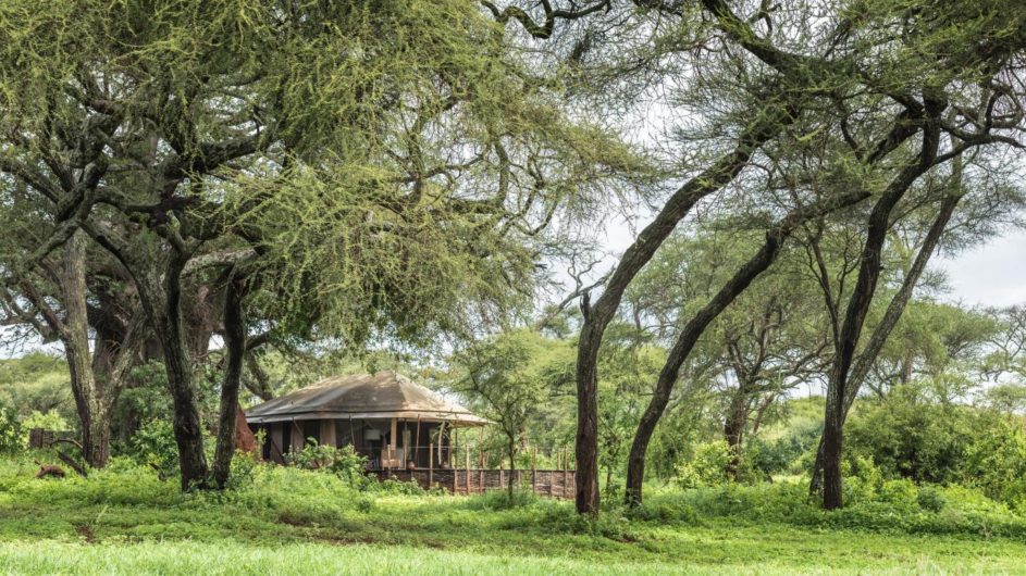 Tanzania Tarangire Nationalpark Sanctuary Swala Camp Zimmer Ansicht