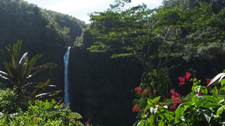 USA - Hawaii - The Big Island - Akaka Falls State Park - c VisittheUSA.com